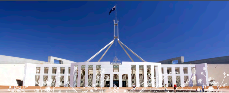 Government and the law in Australia 1